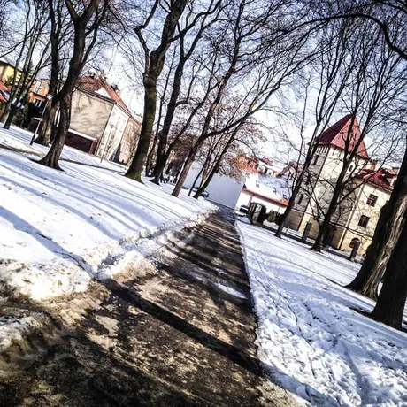 Park przy ul. Dąbrowskiego - Rzeszów 2014 - fot 5