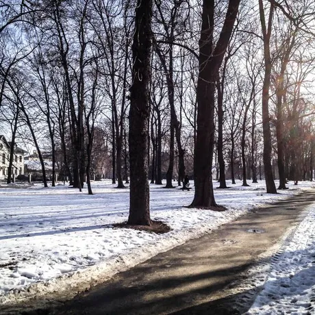 Park przy ul. Dąbrowskiego - Rzeszów 2014 - fot 4