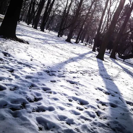 Park przy ul. Dąbrowskiego - Rzeszów 2014 - fot 3