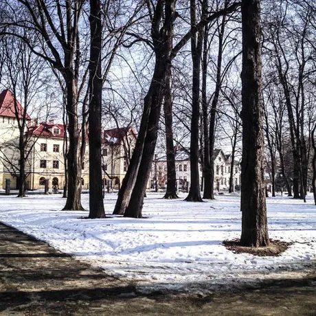 Park przy ul. Dąbrowskiego - Rzeszów 2014 - fot 2