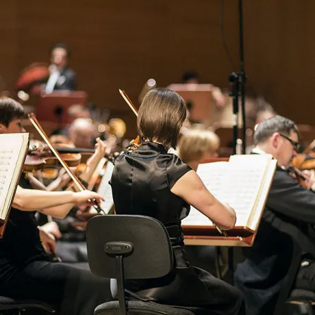 Koncert symfoniczny w Filharmonii Podkarpackiej - 14.02.2014 - fot 4
