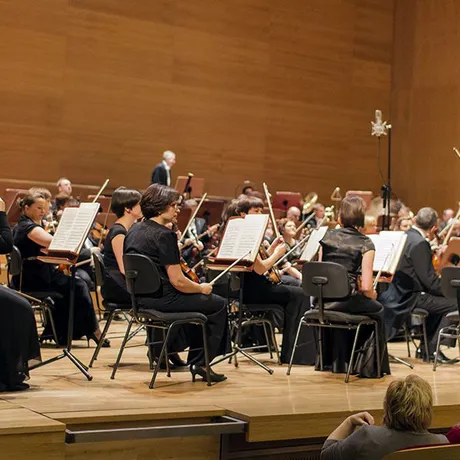 Koncert symfoniczny w Filharmonii Podkarpackiej - 14.02.2014 - fot 2