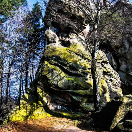 Prządki, Zamek w Odrzykoniu - fot 29