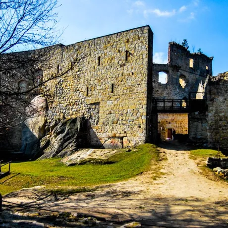 Prządki, Zamek w Odrzykoniu - fot 9