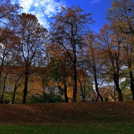 Rzeszów w słońcu 2013 rok - fot 3