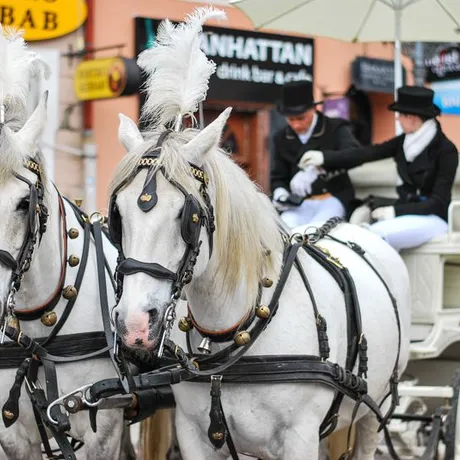 Juwenalia 2014 - Studencki Korowód na Rynku - fot 1