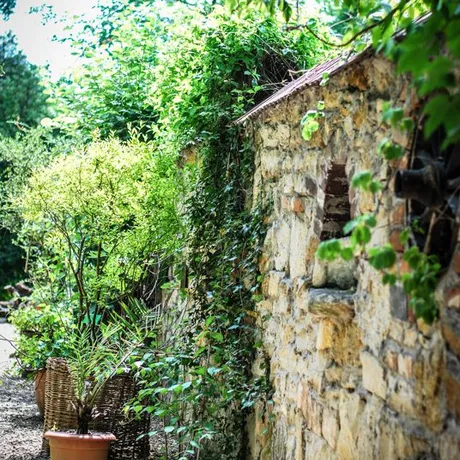 Podkarpacie: Arboretum w Bolestraszycach - fot 15