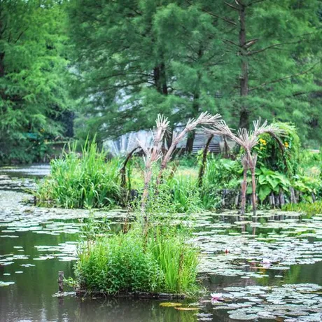 Podkarpacie: Arboretum w Bolestraszycach - fot 28