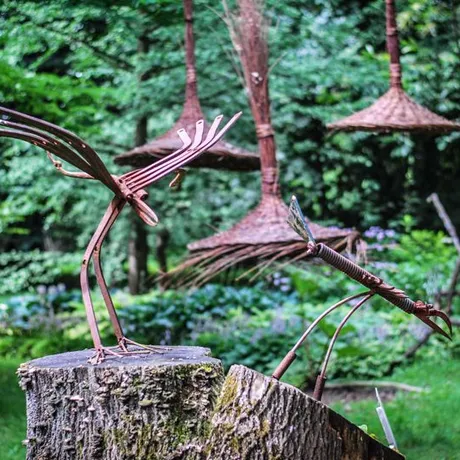 Podkarpacie: Arboretum w Bolestraszycach - fot 6