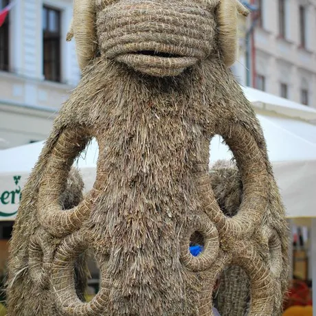 Korowód Zespołów Polonijnych - Rzeszów 2014 - fot 35