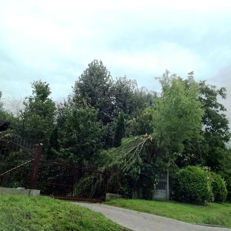 Malawa. Tragiczne skutki wichury - 14.08.2014 - fot 10