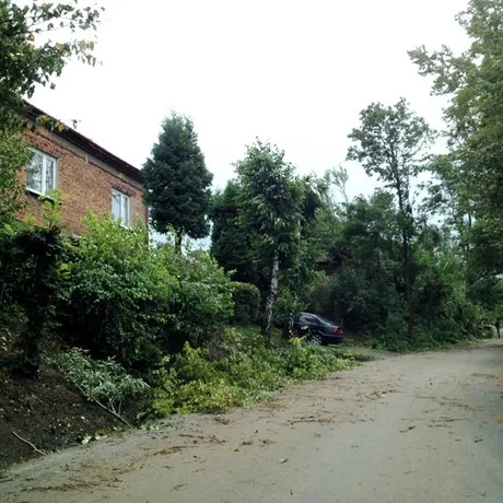 Malawa. Tragiczne skutki wichury - 14.08.2014 - fot 3
