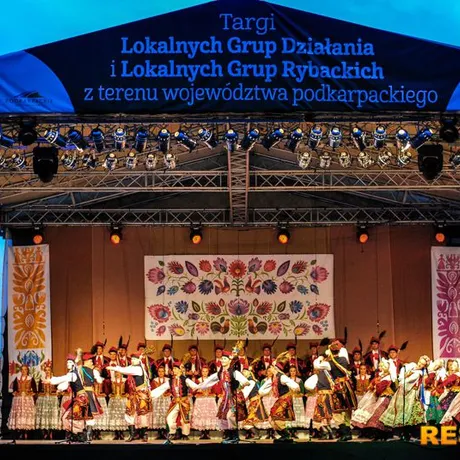 Zespół Pieśni i Tańca 