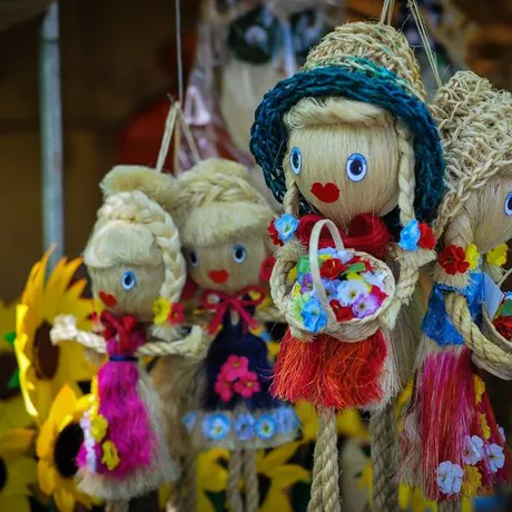 Święto Paniagi 2015 - fot 72