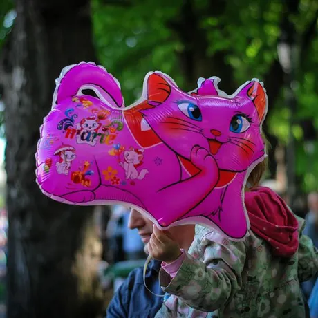 Święto Paniagi 2015 - fot 48