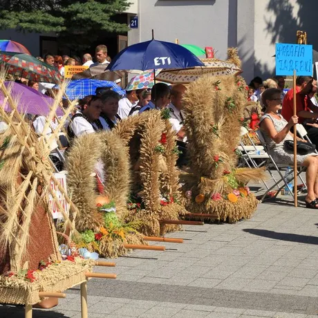 Dożynki diecezjalne w katedrze rzeszowskiej  - fot 52