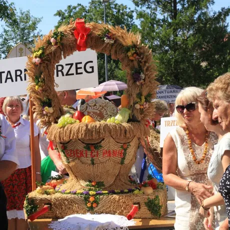 Dożynki diecezjalne w katedrze rzeszowskiej  - fot 43