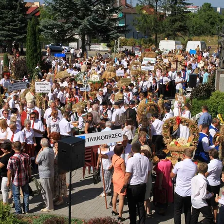 Dożynki diecezjalne w katedrze rzeszowskiej  - fot 39