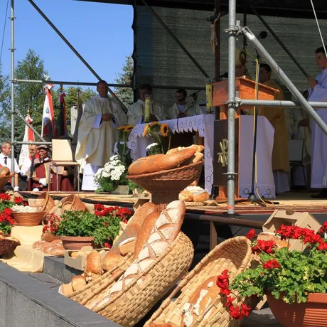 Dożynki diecezjalne w katedrze rzeszowskiej  - fot 38