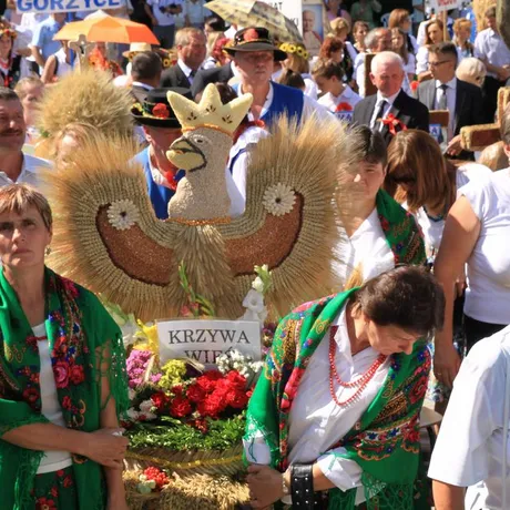 Dożynki diecezjalne w katedrze rzeszowskiej  - fot 37