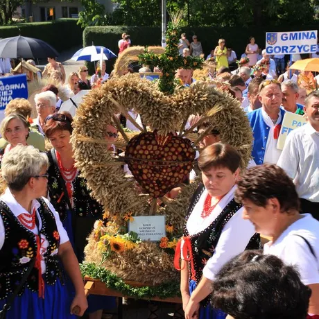 Dożynki diecezjalne w katedrze rzeszowskiej  - fot 36