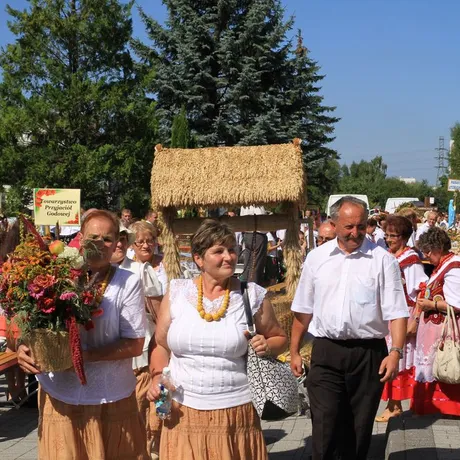 Dożynki diecezjalne w katedrze rzeszowskiej  - fot 16