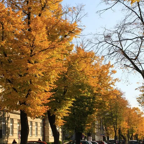Jesień w Rzeszowie  - fot 35