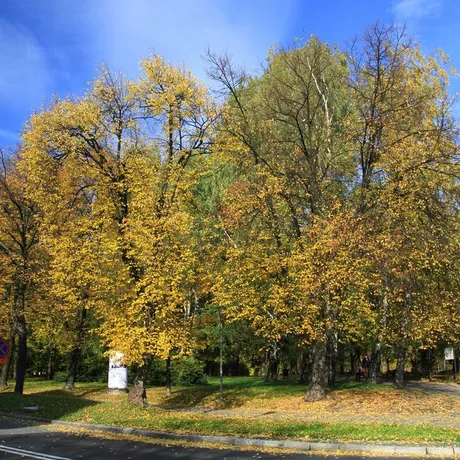 Jesień w Rzeszowie  - fot 27