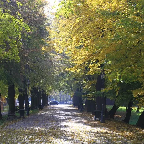 Jesień w Rzeszowie  - fot 26