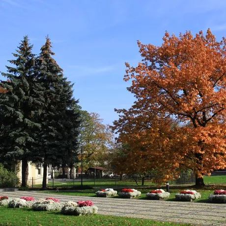Jesień w Rzeszowie  - fot 25