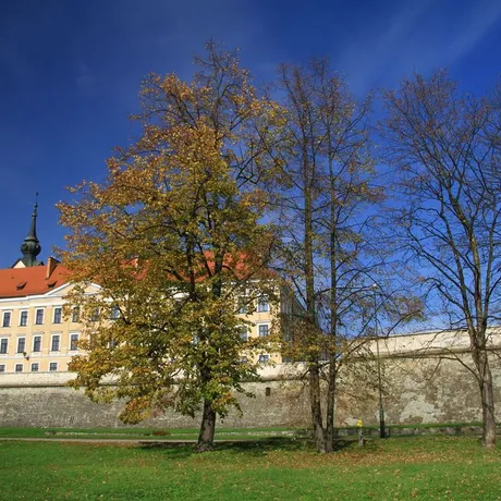 Jesień w Rzeszowie  - fot 24