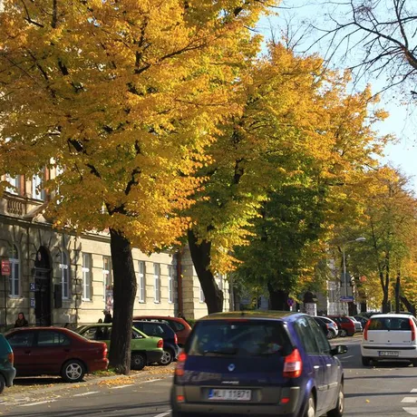 Jesień w Rzeszowie  - fot 34