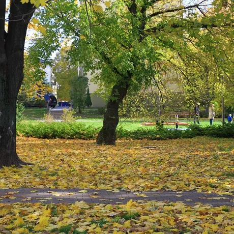 Jesień w Rzeszowie  - fot 32