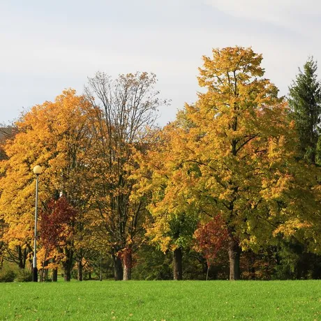 Jesień w Rzeszowie  - fot 17