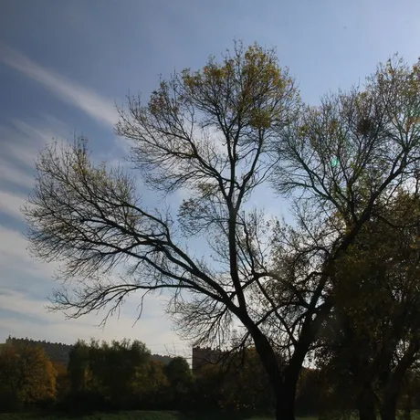 Jesień w Rzeszowie  - fot 16