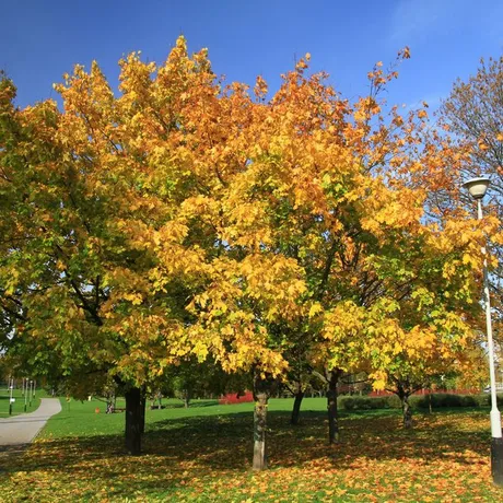Jesień w Rzeszowie  - fot 15