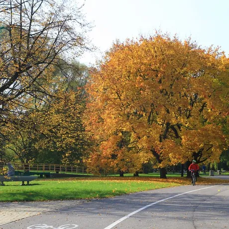 Jesień w Rzeszowie  - fot 14