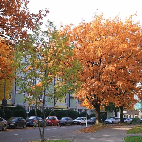 Jesień w Rzeszowie  - fot 3