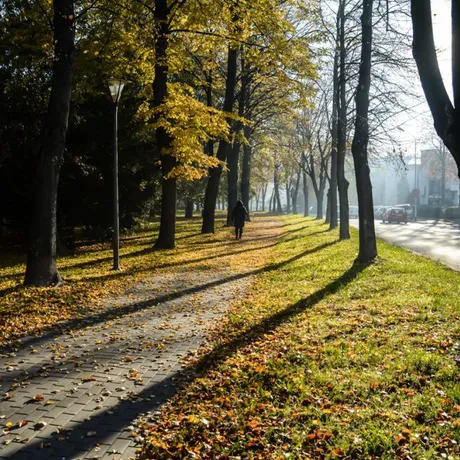 Barwy Jesieni. Spacer po Rzeszowie - fot 1