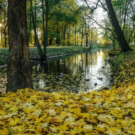Barwy Jesieni. Spacer po Rzeszowie - fot 22