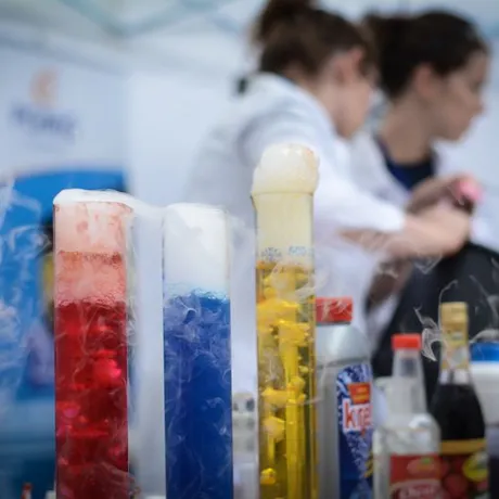 7. Dzień Odkrywców. Interaktywny Piknik Wiedzy - fot 51