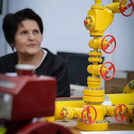 7. Dzień Odkrywców. Interaktywny Piknik Wiedzy - fot 49