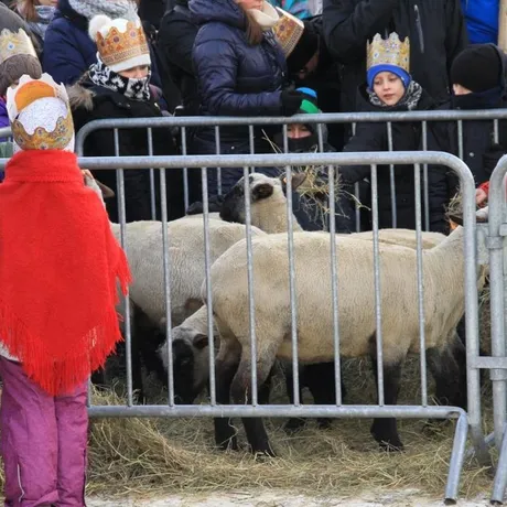 Orszak Trzech Króli 2017 rok Rzeszów - fot 25