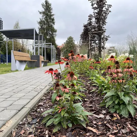 Ogród kieszonkowy przy ul. Kurpiowskiej - fot 17