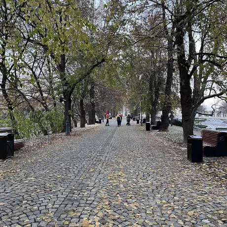 Nowe ławki na al. Lubomirskich - fot 1