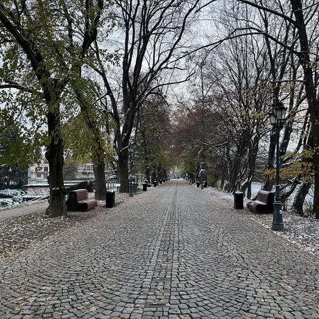 Nowe ławki na al. Lubomirskich - fot 4