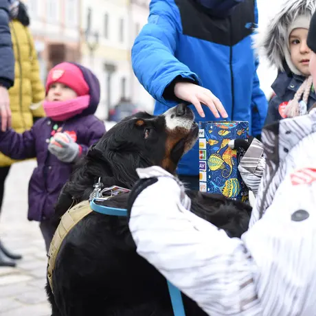 31. Finał WOŚP w Rzeszowie - fot 18