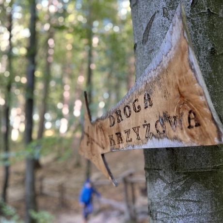 Cudowne źródełko "Studzianka" w Przylasku w Hermanowej - fot 21