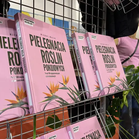 Festiwal Roślin w Rzeszowie - fot 11