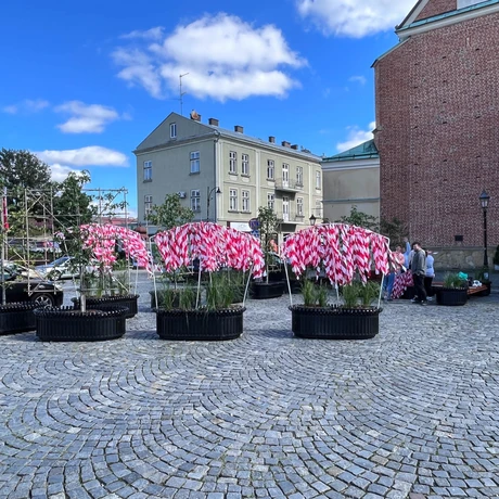 Parklet na Placu Farnym - fot 8